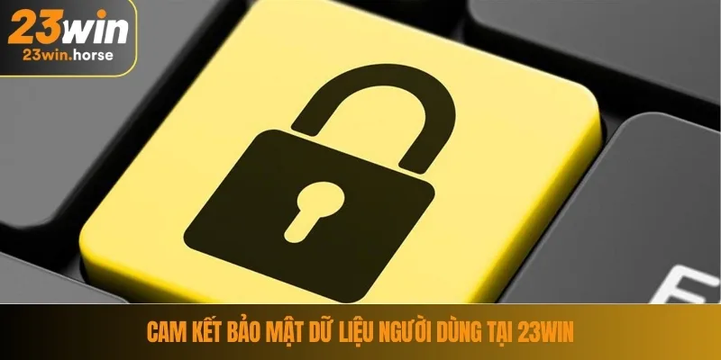 Chính Sách Bảo Mật 23WIN 2 Cam kết bảo mật dữ liệu người dùng tại 23WIN