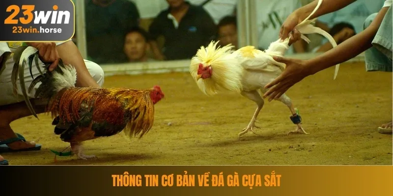 Thông tin cơ bản về đá gà cựa sắt