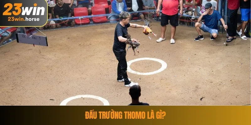 Đấu trường thomo là gì?