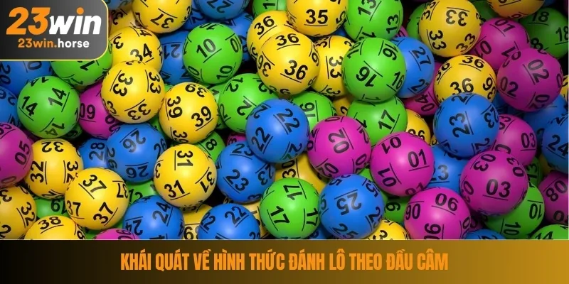 Khái quát về hình thức đánh lô theo đầu câm