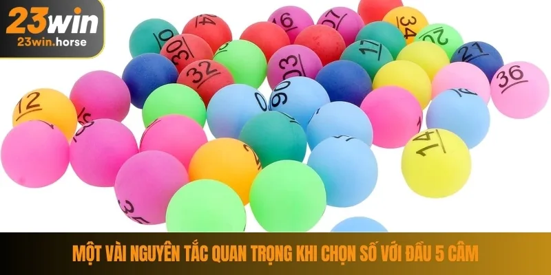 Đầu 5 Câm Đánh Con Gì? Giải Mã Giấc Mơ Từ Cao Thủ 23WIN 4 Một vài nguyên tắc quan trọng khi chọn số với đầu 5 câm