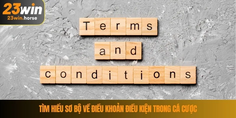 Tìm hiểu sơ bộ về điều khoản điều kiện trong cá cược 