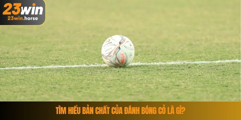 Kinh Nghiệm Đánh Bóng Cỏ - Kiến Thức Bổ Ích Từ Cao Thủ 2 Tìm hiểu bản chất của đánh bóng cỏ là gì?