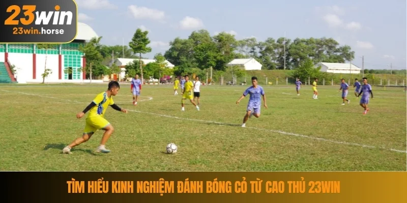 Kinh Nghiệm Đánh Bóng Cỏ - Kiến Thức Bổ Ích Từ Cao Thủ 3 Tìm hiểu kinh nghiệm đánh bóng cỏ từ cao thủ 23WIN