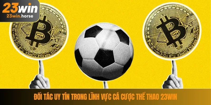 Thể Thao 23WIN 2 Đối tác uy tín trong lĩnh vực cá cược thể thao 23WIN