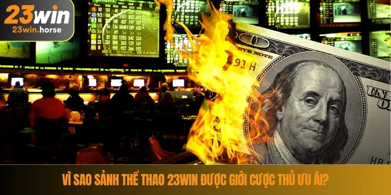 Thể Thao 23WIN 3 Vì sao sảnh thể thao 23WIN được giới cược thủ ưu ái?