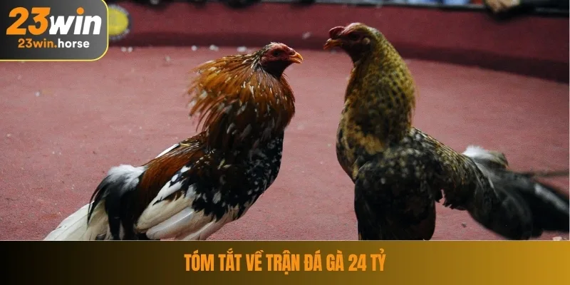 Trận Đá Gà 24 Tỷ – Cuộc Đối Đầu Làm Nóng Cả Giới Cá Cược 2 Tóm tắt về trận đá gà 24 tỷ