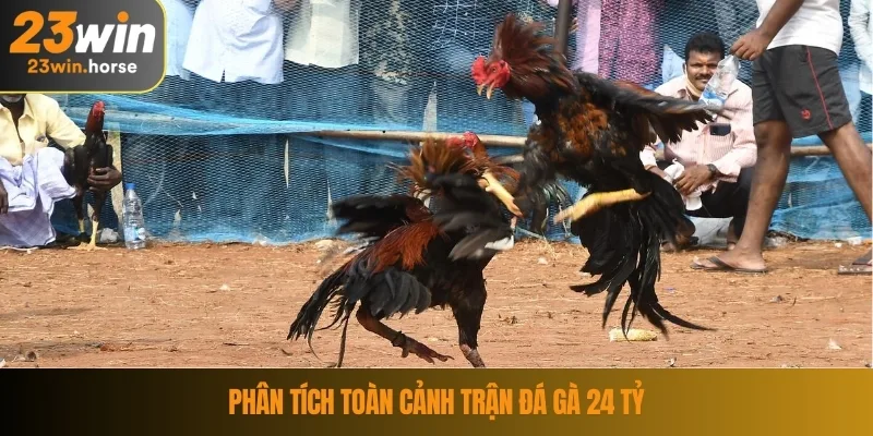 Trận Đá Gà 24 Tỷ – Cuộc Đối Đầu Làm Nóng Cả Giới Cá Cược 3 Phân tích toàn cảnh trận đá gà 24 tỷ