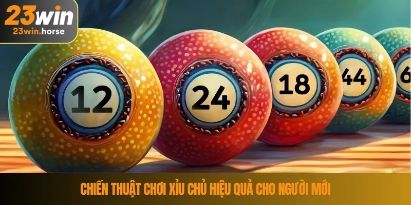 Chiến thuật chơi xỉu chủ hiệu quả cho người mới